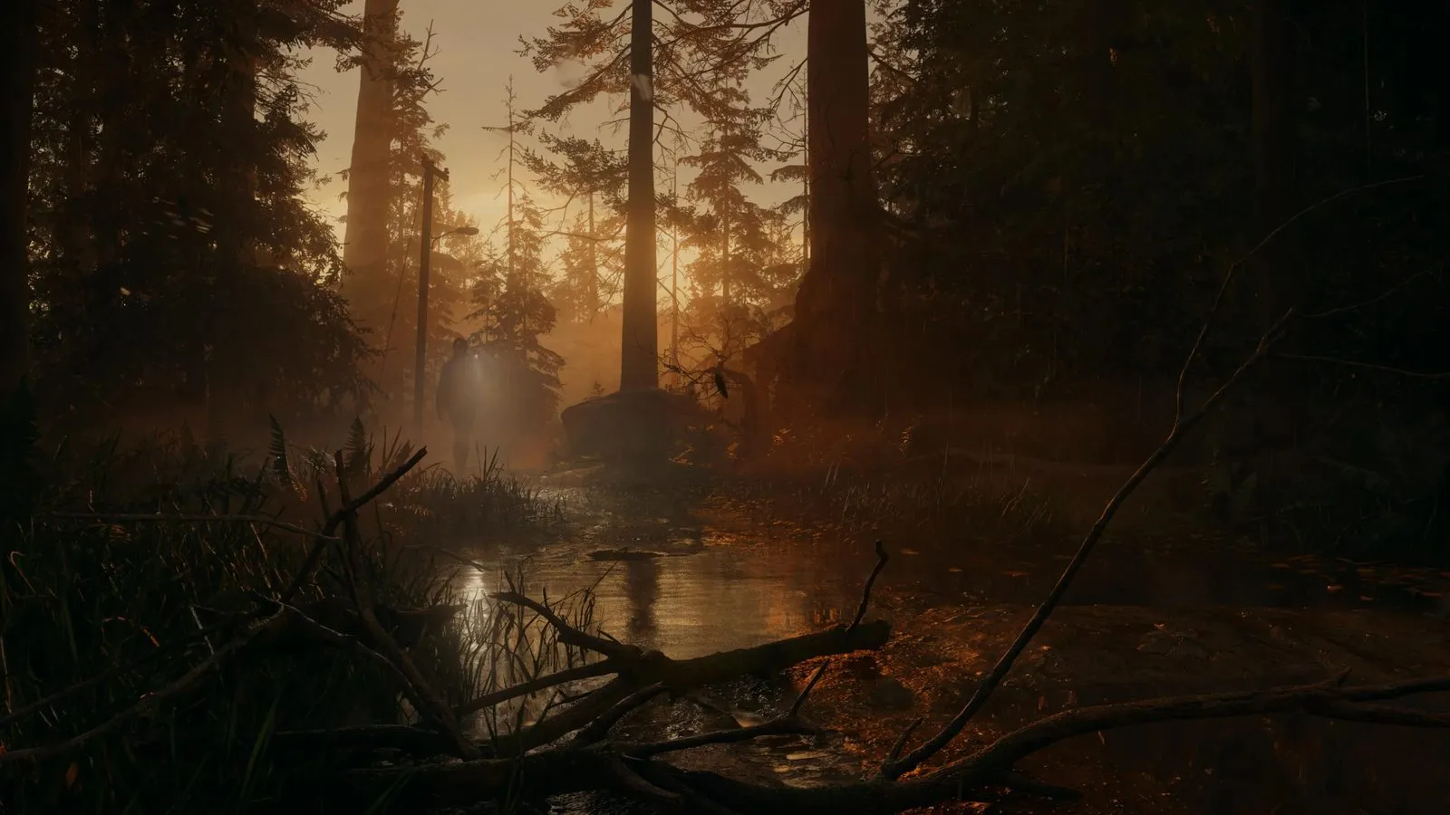 Una figura con linterna camina por un bosque de pinos al atardecer