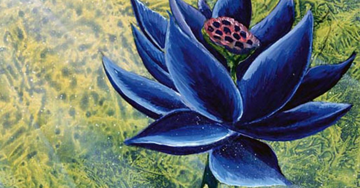 La nueva subasta de MTG Black Lotus podría alcanzar más de $ 500,000 nuevamente